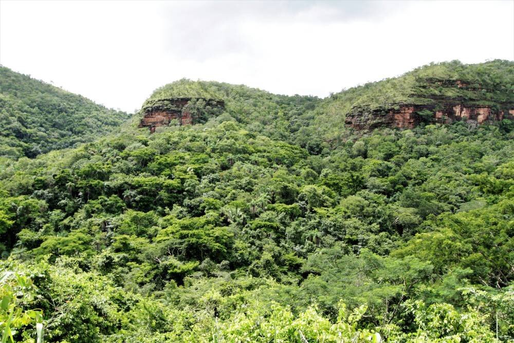 Governo do Tocantins cria Grupo de Trabalho para planejar transação de créditos de carbono