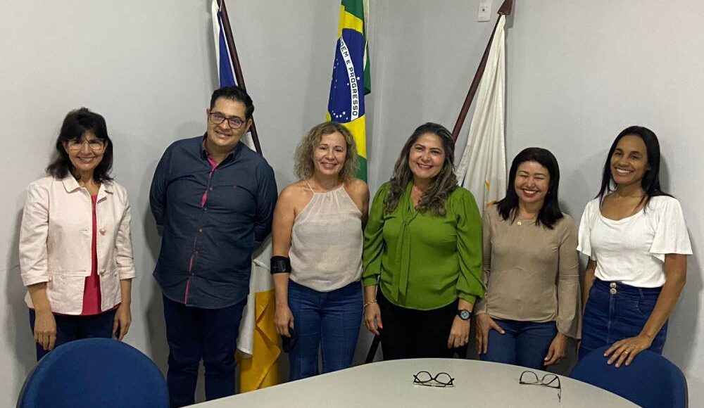 Undime Tocantins se reúne com o Conselho Estadual de Educação para repassar demandas sugeridas pelos Dirigentes Municipais de Educação